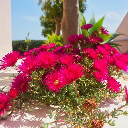 Casa Laranja, Aromas Burgau Apartment Exterior photo